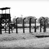 Os primeiros prisioneiros chegaram ao campo de concentração de Auschwitz