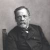 Louis Pasteur e Claude Bernard fizeram o primeiro teste de pasteurização