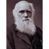 Faleceu o biólogo Charles Darwin