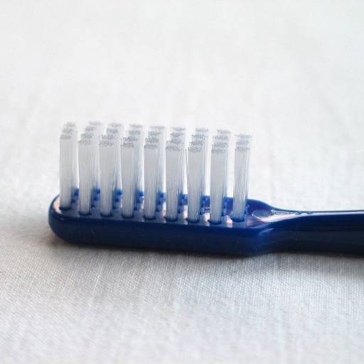 Surgiram as primeiras escovas de dentes com cerdas de nylon