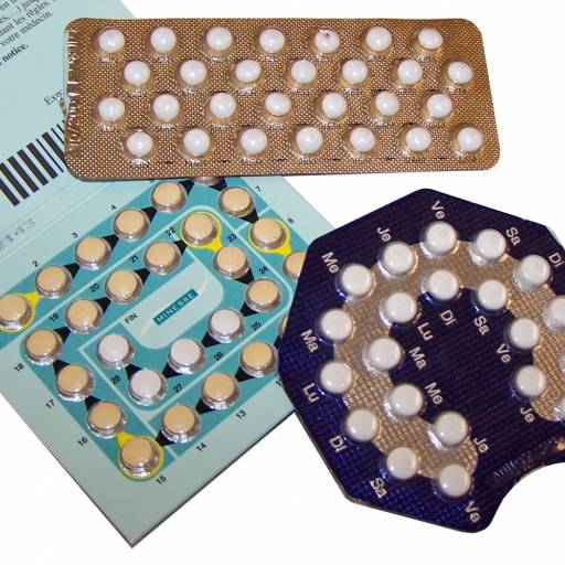 Foi comercializado a primeira pílula anti-concepcional