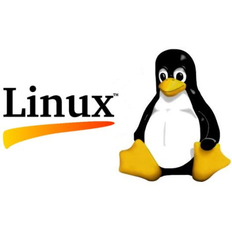 Foi lançado o Linux