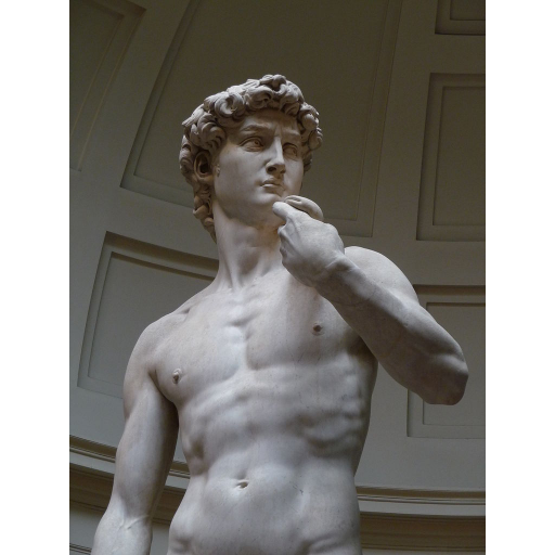 Primeira exibição da estátua David, de Michelangelo