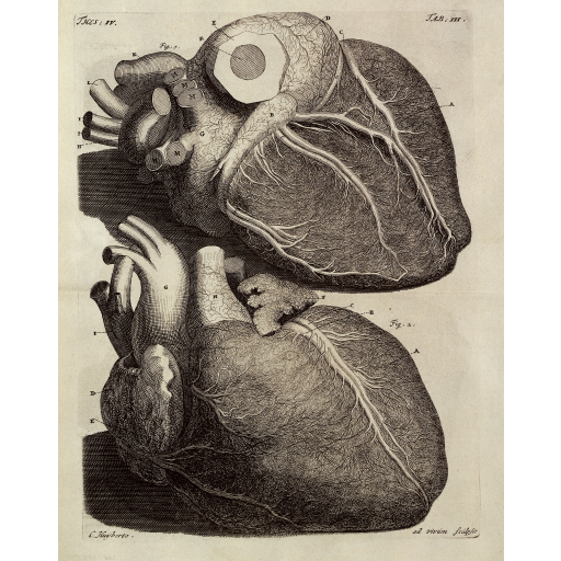 Foi realizada a primeira operação de peito aberto ao coração